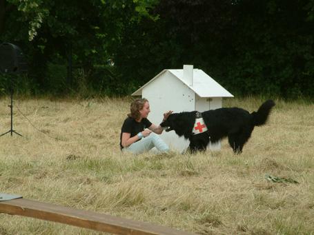 DRK Rettungshunde Vorführung Hundeshow Dormagen