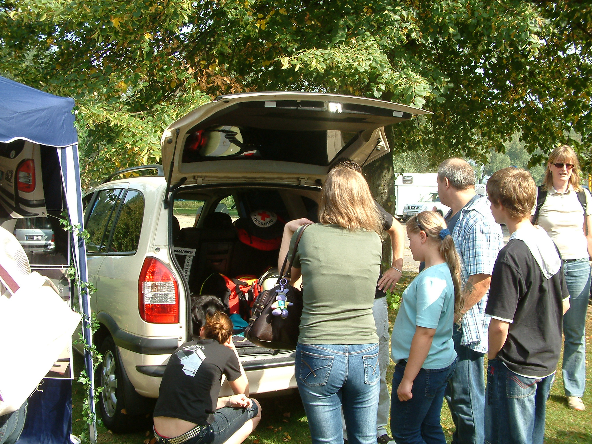 Lufty - viele Besucher Lufty - viele Besucher
