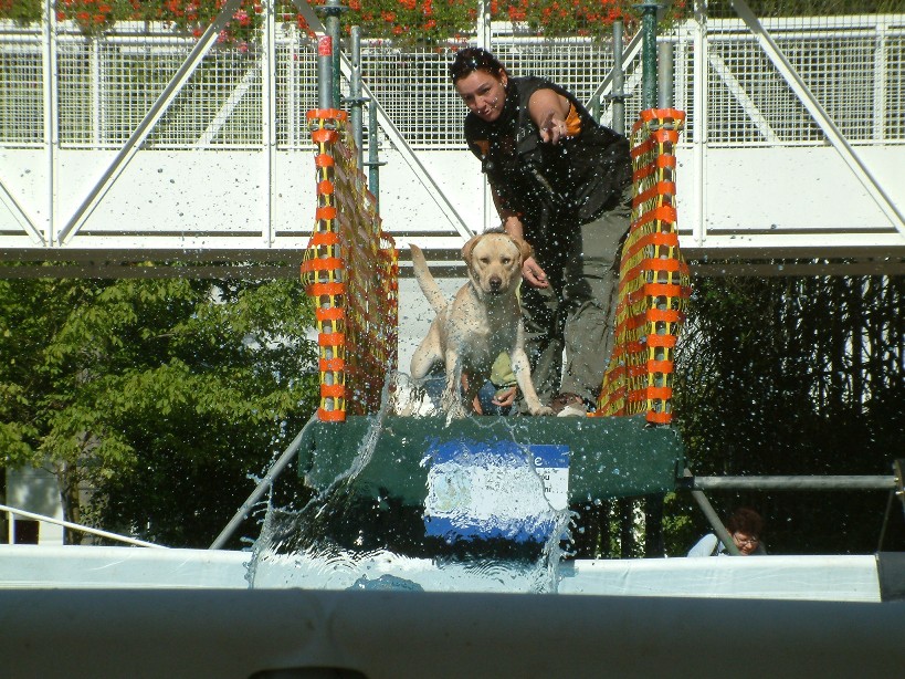 Lufty bei Dog event Lufty bei Dog event
