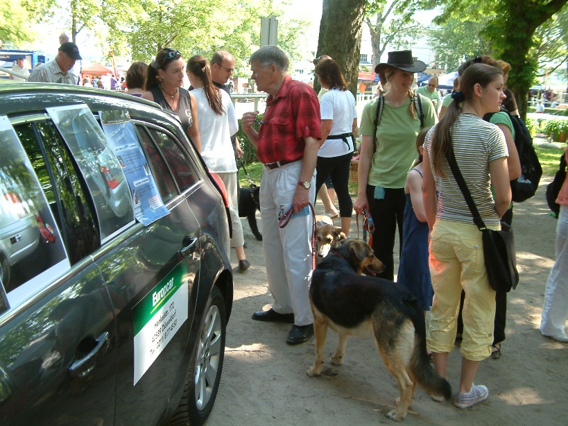 Lufty beim Dogday 2010 Lufty beim Dogday 2010