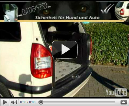 Lufty&reg; Ein- und Ausbau am Opel Zafira