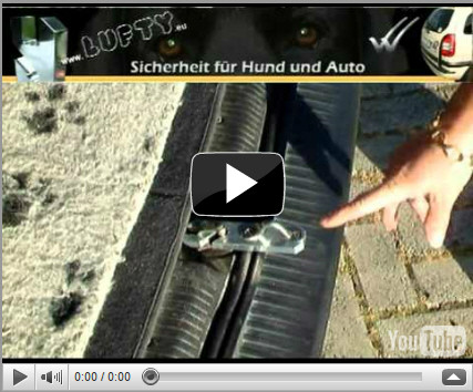 Schneller Ein-und Ausbau von Lufty&reg;